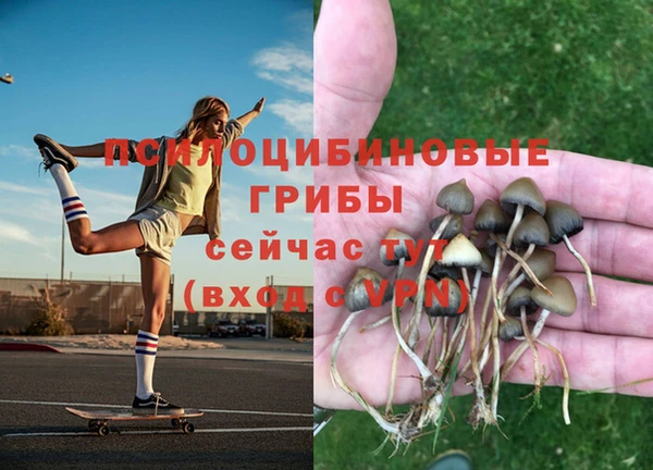 кокс Волоколамск