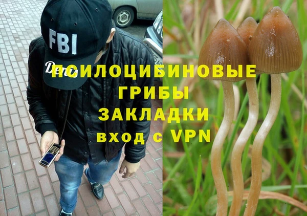 ECSTASY Володарск