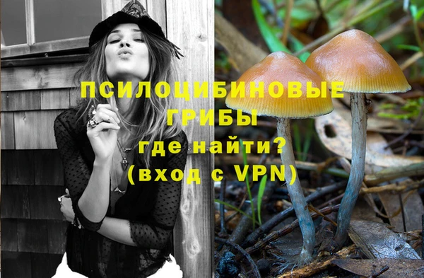ECSTASY Володарск