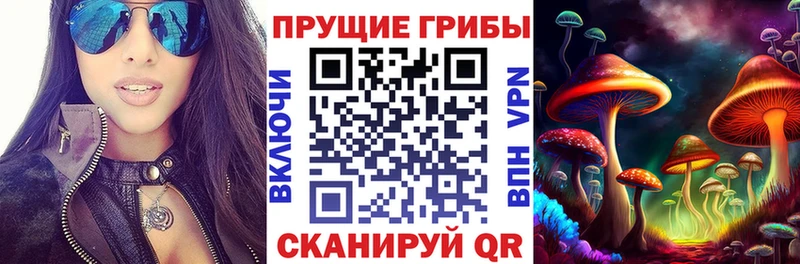 Псилоцибиновые грибы прущие грибы  Купить  Кореновск 