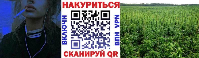Канабис план  Купить закладки  Кореновск 